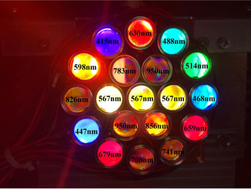 具有不同峰值波长的LED排列图.png