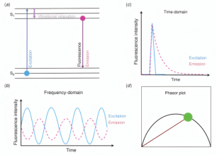  电致发光的荧光电子跃迁机制