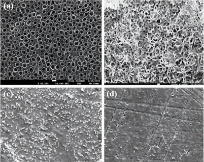 纳米材料微观结构