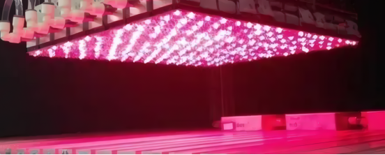 大面积LED太阳光模拟器的光源