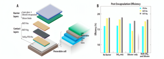 实验研究的变量
