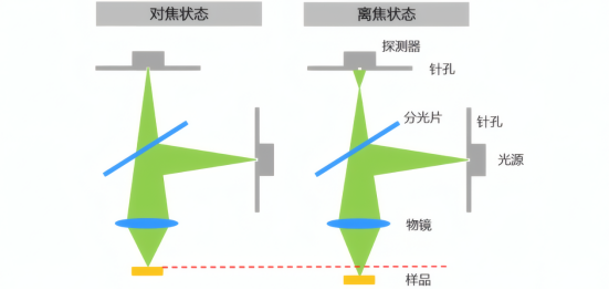 共聚焦显微镜的对焦与离焦