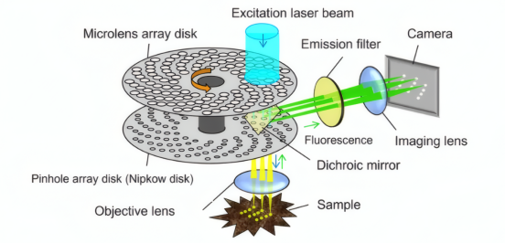 转盘扫描共聚焦显微镜