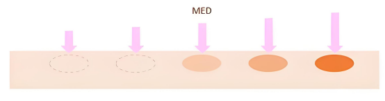 最小红斑剂量MED.png