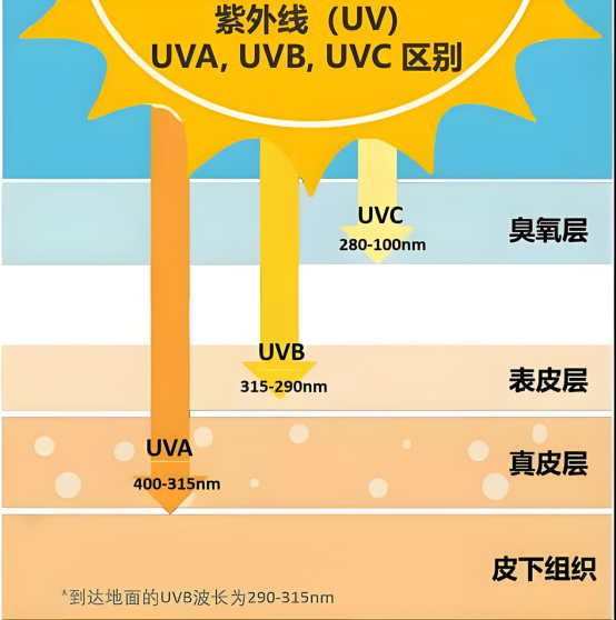UVA 和 UVB的波长.png